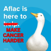 The Double-Edged Sword of AFLAC: A Necessary Coverage with Unnecessary Hassles